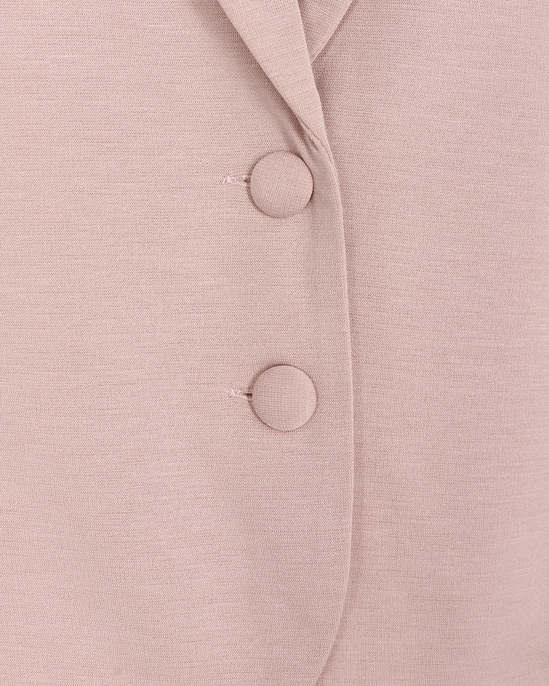 FQNANNI - FORM-FITTING BLAZER - ROSE